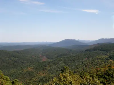 Talimena Scenic Drive (Quachita National Forest) - panoramio (18)