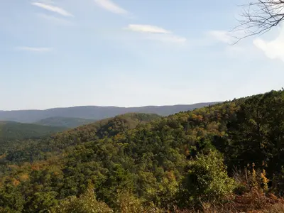 Talimena Scenic Drive (Quachita National Forest) - panoramio (13)