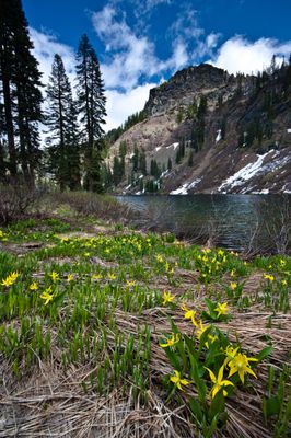 Big Flat Campground