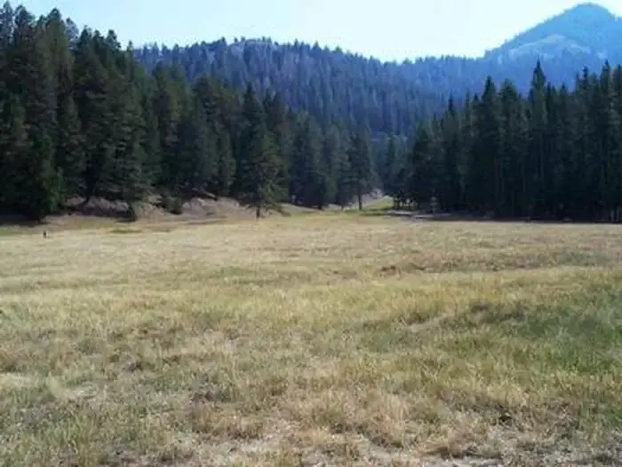Loristica Group Campground