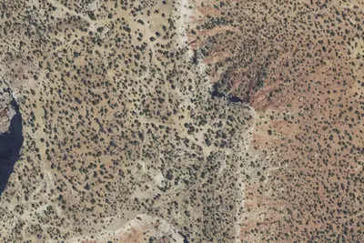 Camp site