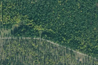 Rd835 Site 4