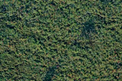 Camp site (NY DEC)