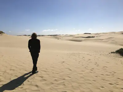 David donald sutherland desert 2018