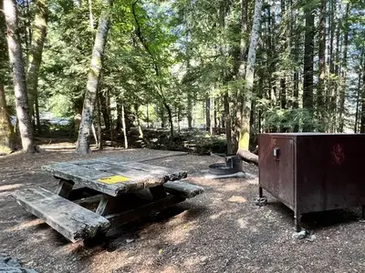 Tent pad, picnic table, fire grate and bear box at campsite.