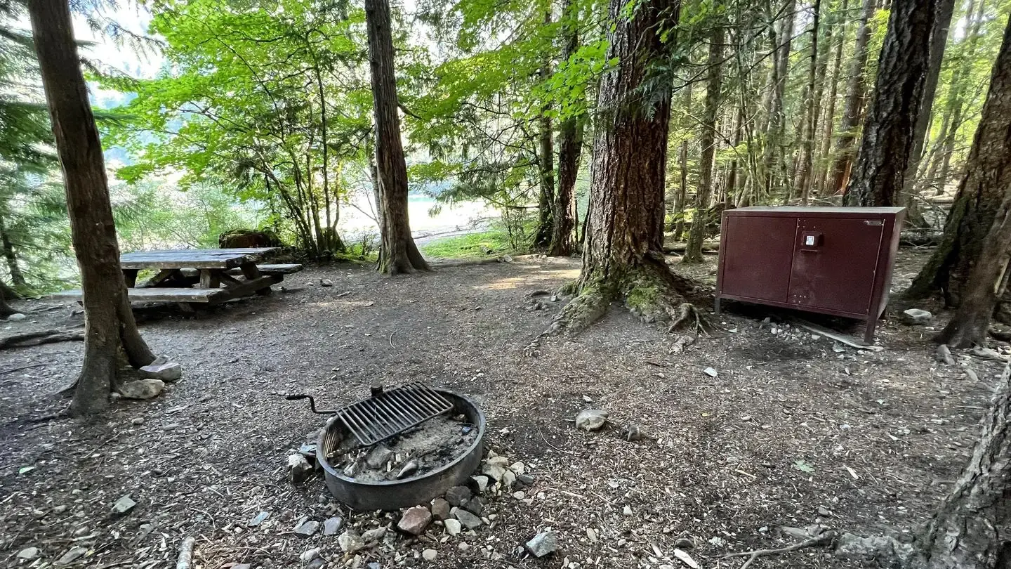 Tent pad, picnic table, fire grate and bear box at campsite.