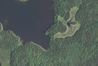 Camp site