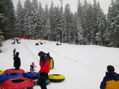 Snow Tubing at Government Camp, Mt Hood National Forest (23453455255)
