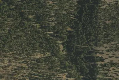 Camp site (US Forest Service)