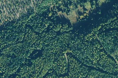 Rd 2278 Site 3