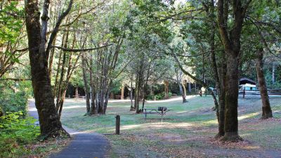 Tyee Campground - Umpqua River