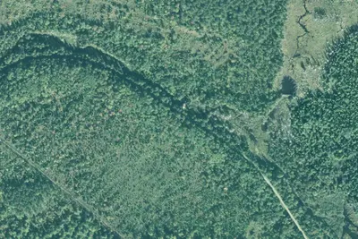 Camp site
