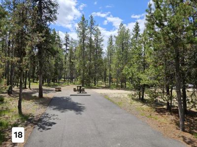 Shoreline Campground
