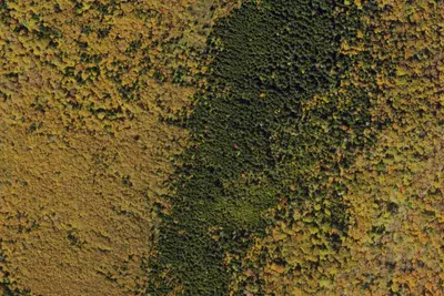 Camp site