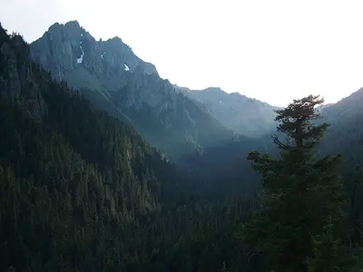 Buckhorn Mountain, Olympic National Forest (23916537515)