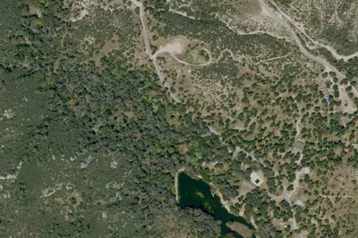 Bat Campsite