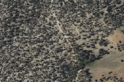 Camp site