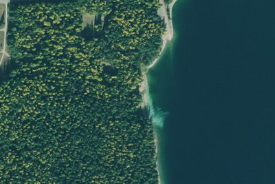 Barron Disp Site 2