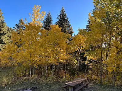 Fall Colors Beartooth RD CGNF, West Fork Rock and E Rosebud (52944035065)