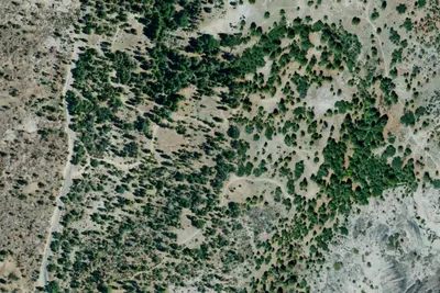 Dispersed camping area 5