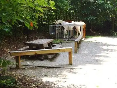 Harmon den horse campground