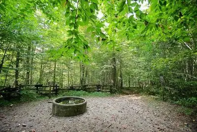 Harmon den horse campground