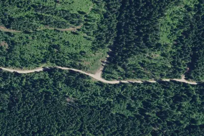 Rd 437 Site 8