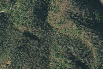 Camp site
