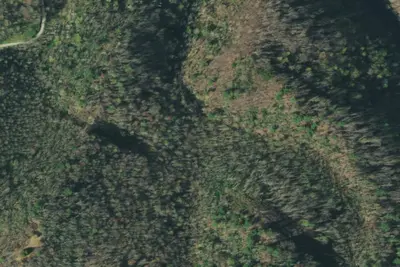 Camp site