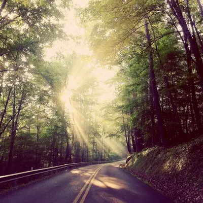 Morning at Natural Tunnel State Park (27547007622)