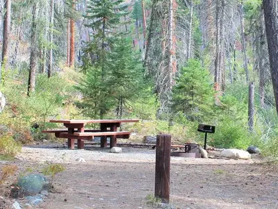 Campsite in the forest with picnic table and fire grill.