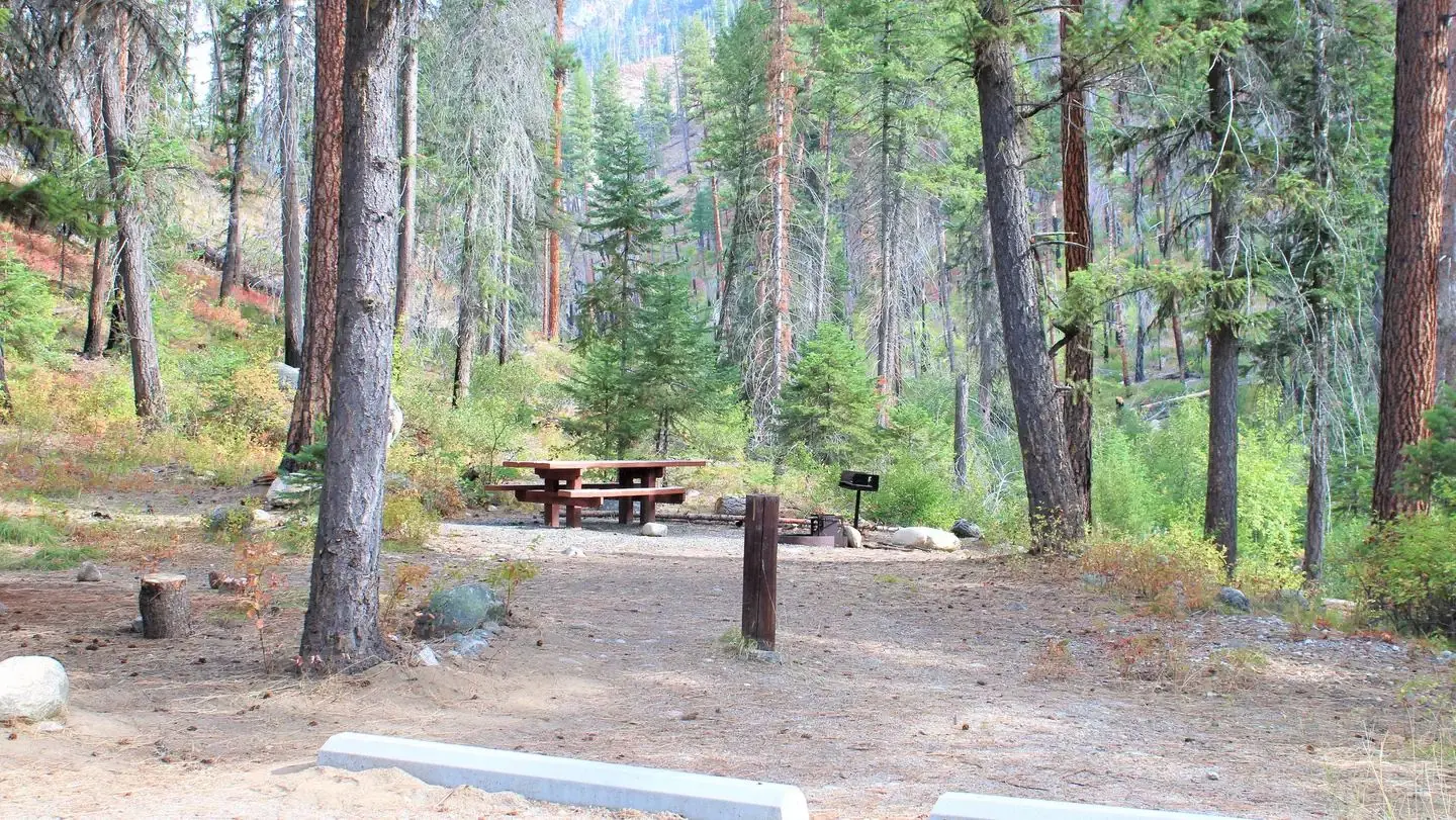 Campsite in the pines with picnic table and fire grill.