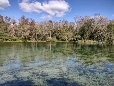 View of the swimming area at the spring.
