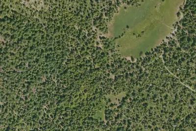 Camp site