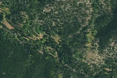 U.S. Forest Service Site 1