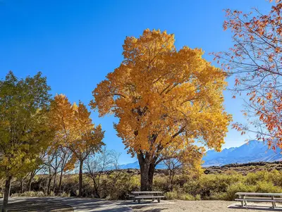 2021-10-27 Autumn Roadtrip in Eastern Sierra by Matthew Dillon 1