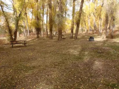 Tent site 1