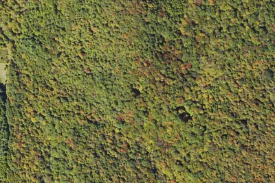 Group Site 2
