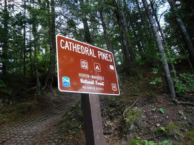 Cathedral Pine Campgrounds AuSable River - panoramio