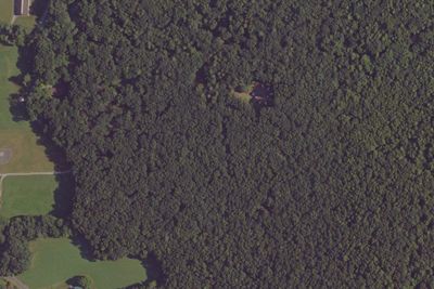 Timber Ridge