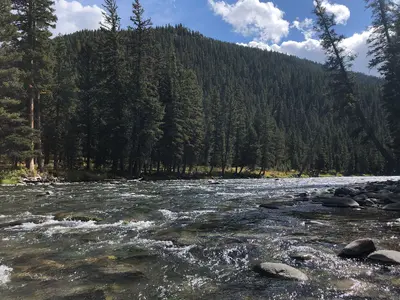 Gallatin River at Elkhorn (52395286894)