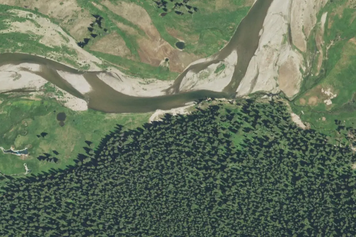 Aerial view