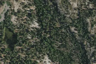 Cliff Camp