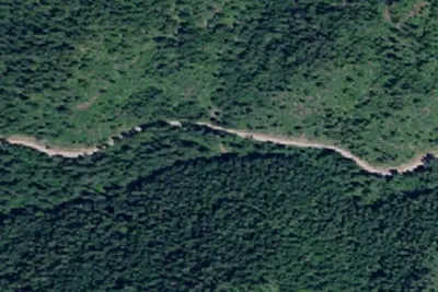 Rd 437 Site 11
