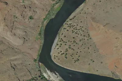 Camp site (Bureau of Land Management)