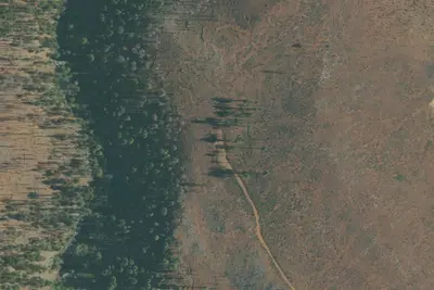 Camp site
