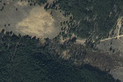 U.S. Forest Service Site 3