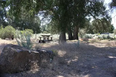 Shaded campsite