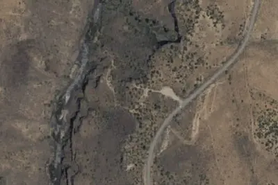 Bear Crossing