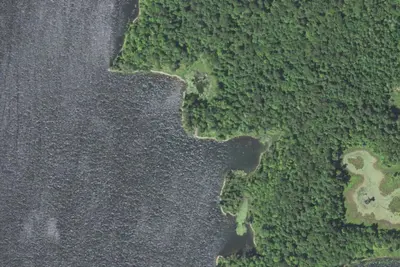 Spider Lake M37